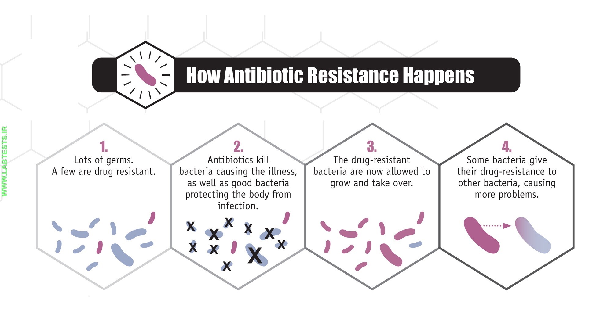How antibiotic resistance happens