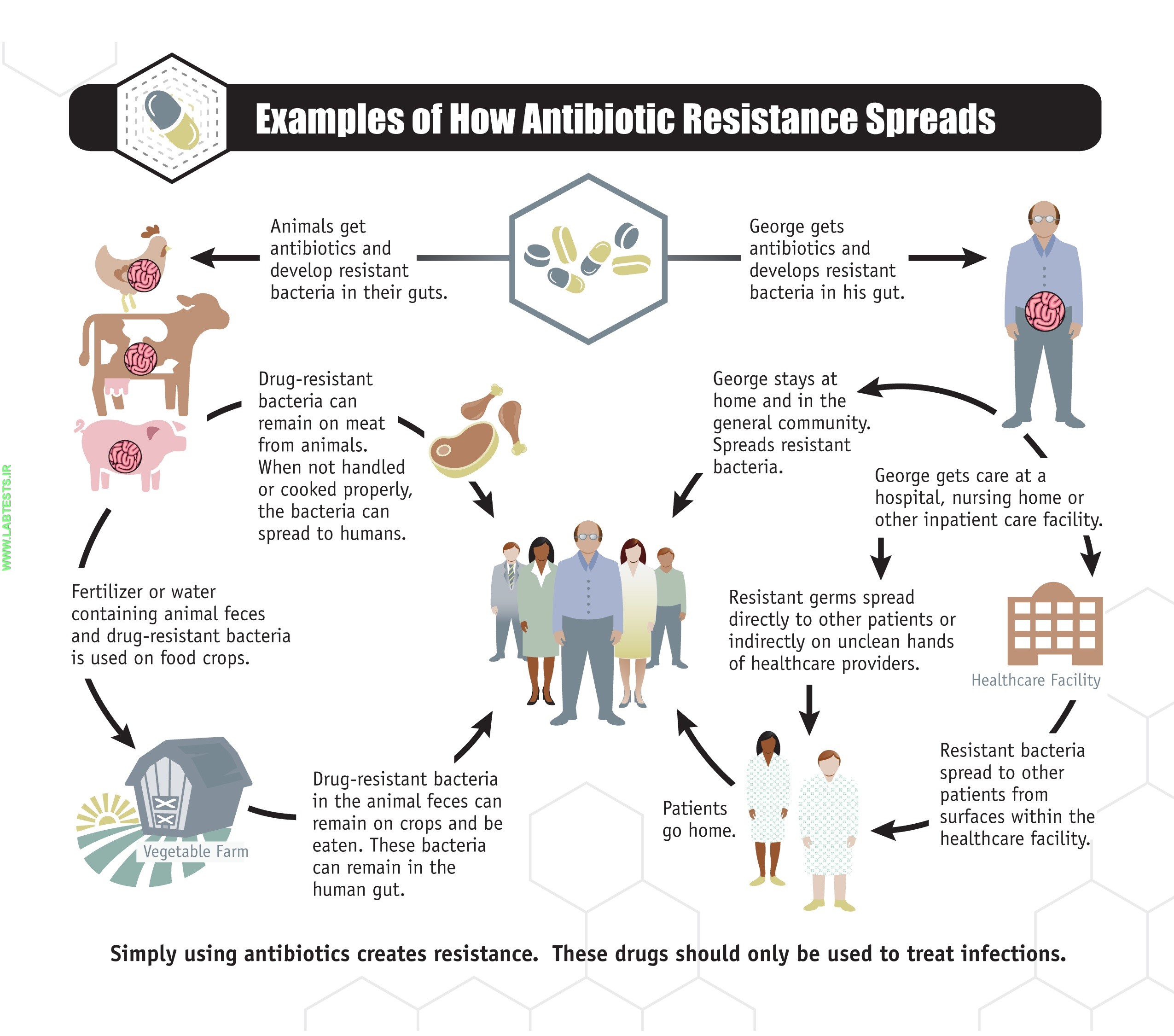 How antibiotic resistance in bacteria spreads