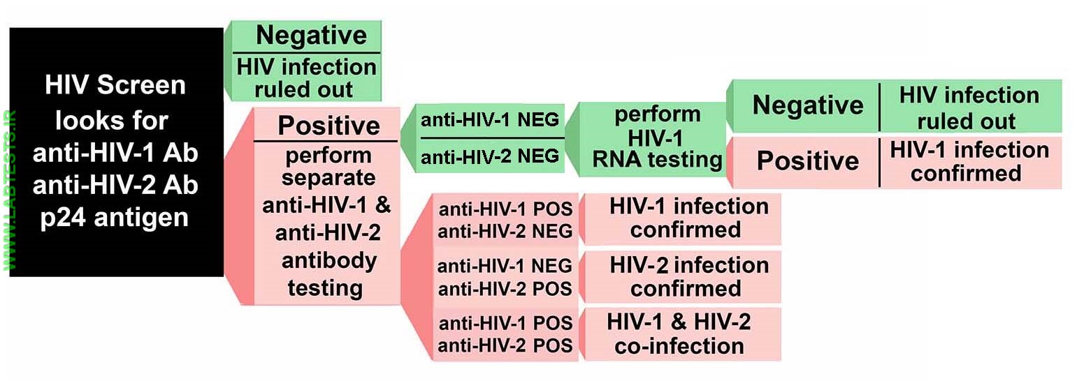 HIV Testing algorithm