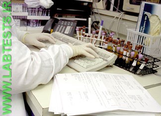 Documenting the culture sample in the computer system