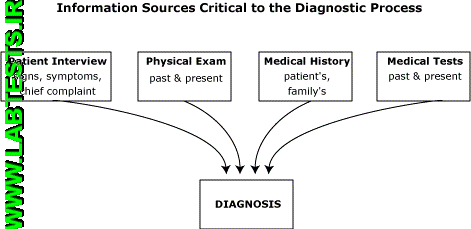 Information Sources Critical to the Diagnostic Process