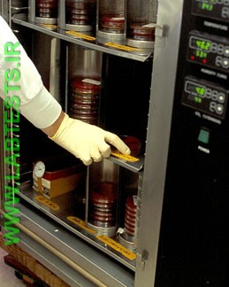 Placing the culture in an incubator