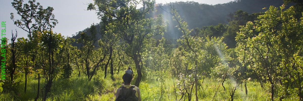 Summertime Health HIking 