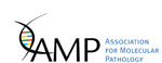 AMP logo