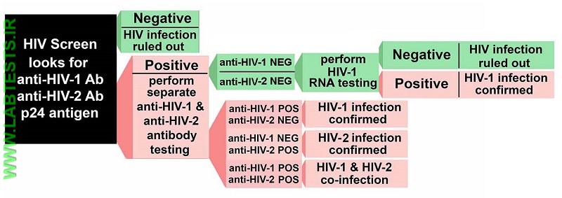HIV Testing Algorithm