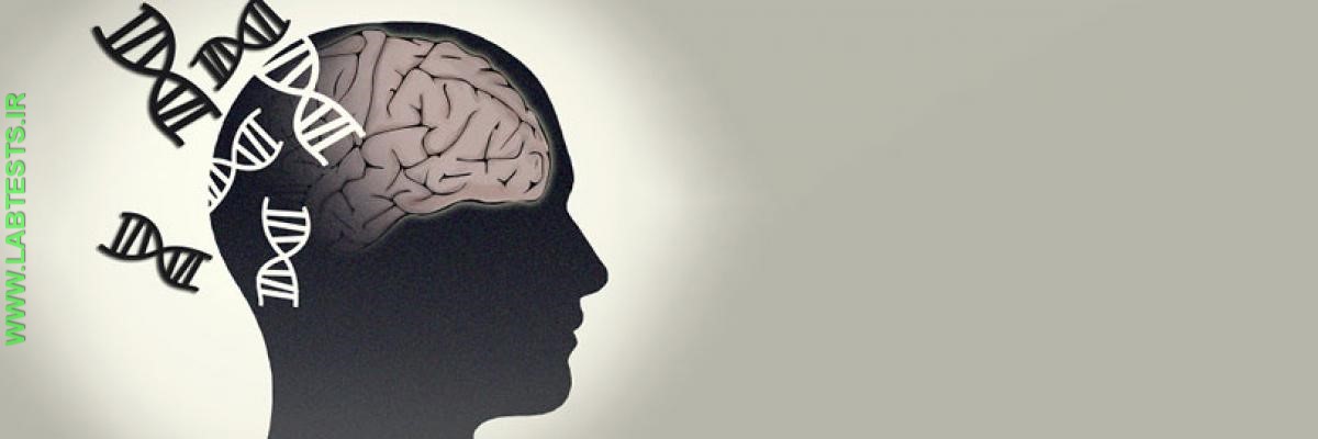 Brain and DNA