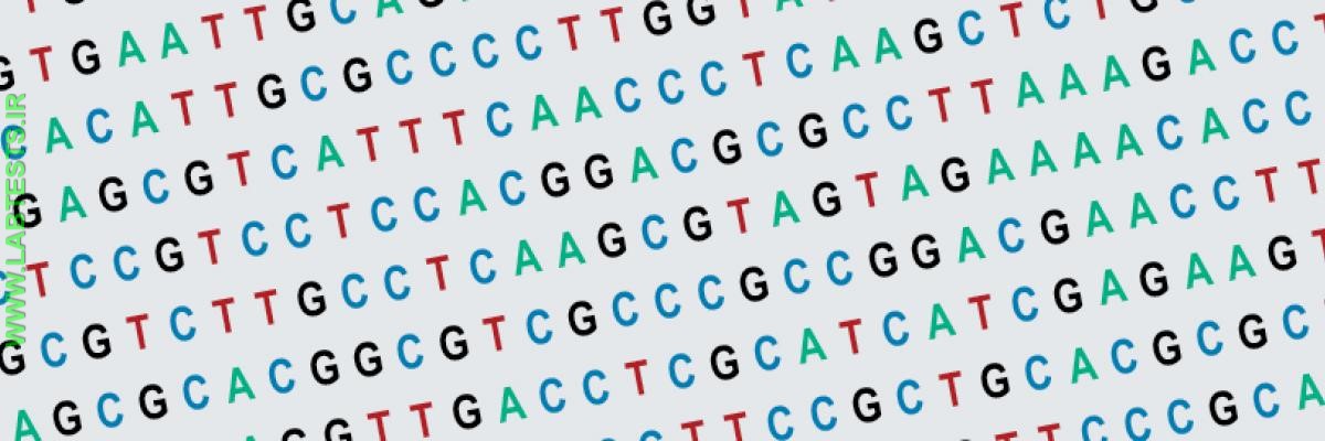 DNA code