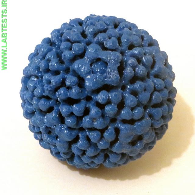 HPV