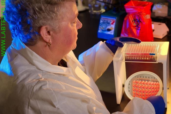 A microbiologist tests for antibiotic susceptibility. Image credit: Melissa Dankel, CDC