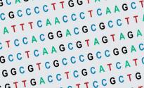 DNA code